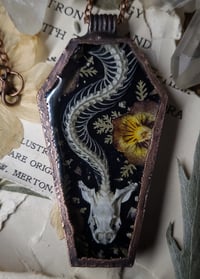 Image 5 of Copy of Coffin Amulet - Snake Skull Skeleton and Floral