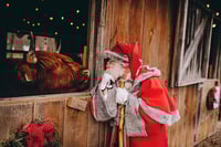 Santa and Highland Cow Mini Session Days 2026