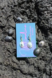 Gold filled ‘Opihi hoop earrings 