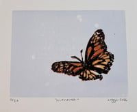 Image 1 of Monarch (limited edition)