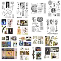 Image 1 of Sticker Fuck Vol 1