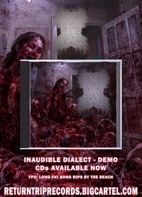 Image 2 of RTR038: INAUDIBLE DIALECT - DEMO