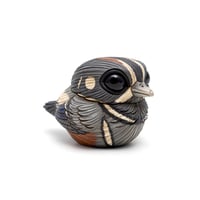 Image 4 of Chubby Bird: Harlequin Duck