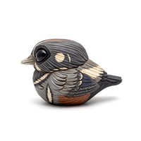 Image 1 of Chubby Bird: Harlequin Duck