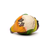 Image 6 of Chubby Bird: Caique