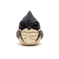 Image 3 of Chubby Bird: Red-Whiskered Bulbul