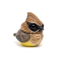 Image 4 of Chubby Bird: Cedar Waxwing