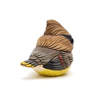 Image 5 of Chubby Bird: Cedar Waxwing