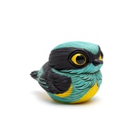 Image 4 of Chubby Bird: Yellow-Tufted Dacnis