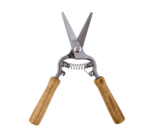 Image of Flower Pruning Scissors