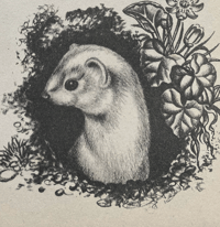 Image 6 of Larger Animals of The Countryside by Eileen Mayo