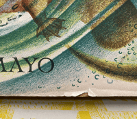 Image 9 of Larger Animals of The Countryside by Eileen Mayo