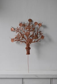 Image 1 of Shells and galleons with coral