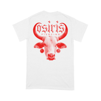 Image 3 of T-shirt OSIRIS - white