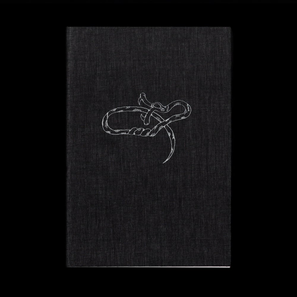 Image of KNITZZZ - VITTORIO DONA'