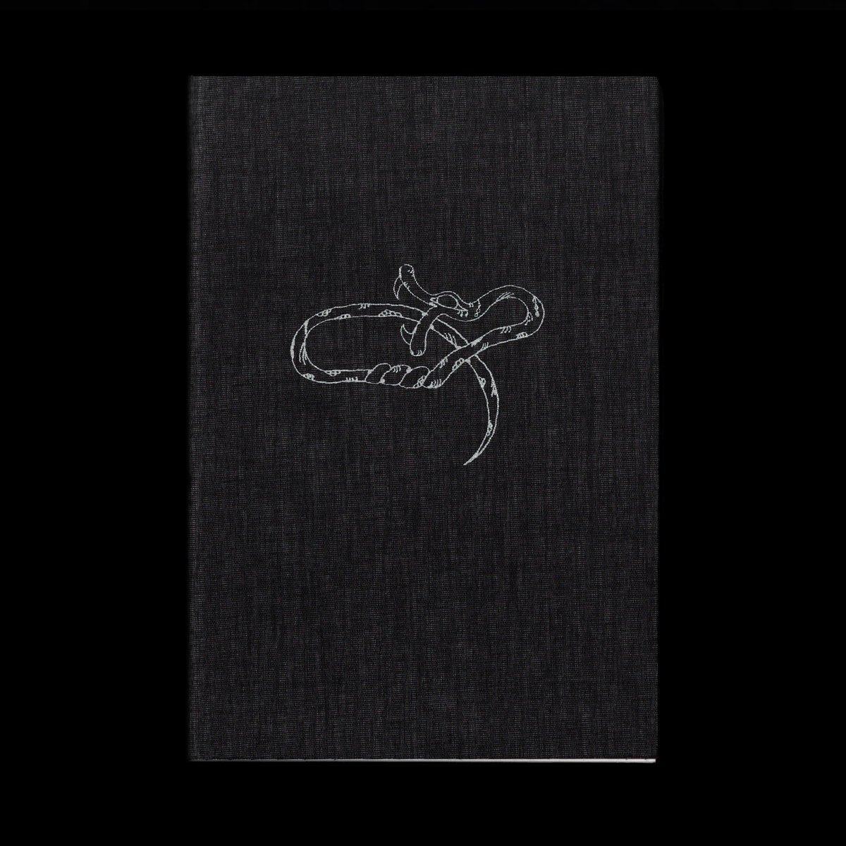 Image of KNITZZZ - VITTORIO DONA'