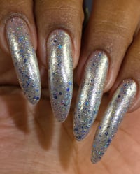 Image 4 of Snow Drop