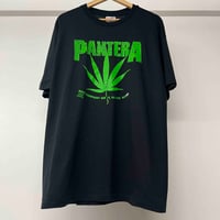 Image 1 of Pantera 1991 XL