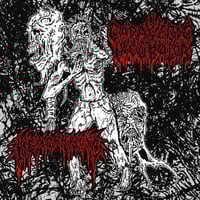 Cadaveric Incubator / Hemorrhoid - Split 7''