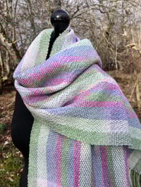 Image 2 of First Signs of Spring 