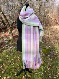 Image 1 of First Signs of Spring 