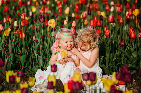 Image of WICKED TULIPS 2026 with BELLA BLUE PHOTOGRAPHY