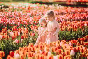 Image of WICKED TULIPS 2026 with BELLA BLUE PHOTOGRAPHY