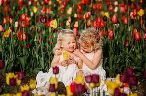 Image of WICKED TULIPS 2026 with BELLA BLUE PHOTOGRAPHY