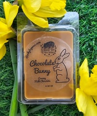 Image 1 of Chocolate Bunny
