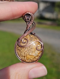 Image 2 of Picture Jasper "Wanderlust"