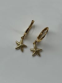 Image 1 of Limited Edition Starfish Huggies