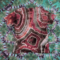 Image 2 of Pee nut (large)