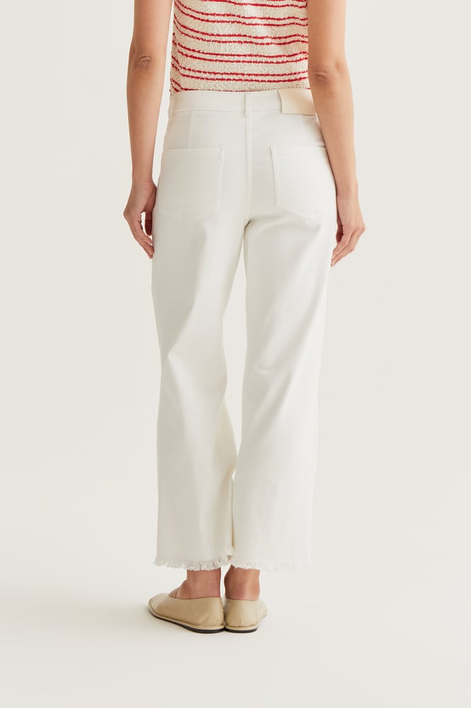 Image of Tejano Blanco