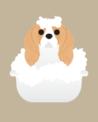 Image 5 of King Charles Cavalier Collection