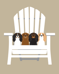 Image 9 of King Charles Cavalier Collection