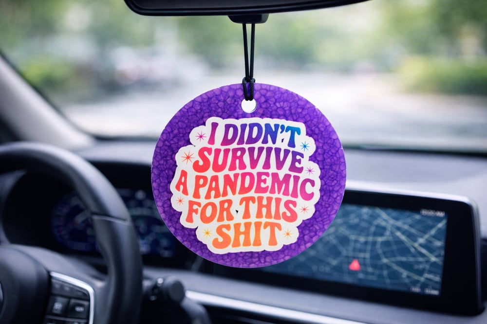 Image of I Didn't Survive a Pandemic For This