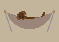 Image 12 of Lab Collection