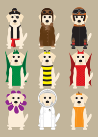 Image 19 of Lab Collection