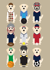 Image 16 of Lab Collection