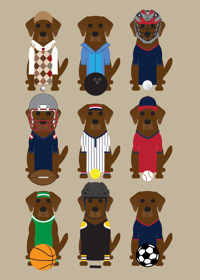 Image 15 of Lab Collection