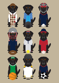 Image 14 of Lab Collection