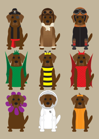 Image 17 of Lab Collection