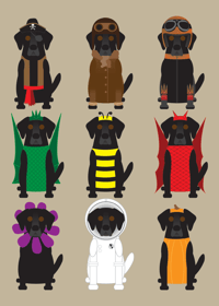 Image 18 of Lab Collection