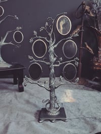 Image 3 of Tree frames 