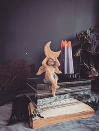 Image 1 of Moon angel 