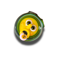 Image 1 of SpunBob - Green n Clean