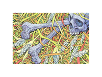 Image 1 of Plastic Bone Grass / Limited