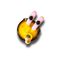 Image 1 of SpunBob KrabPants