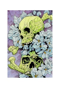 Green Skulls / Limited