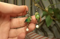 Image 1 of Kakapo family earrings
